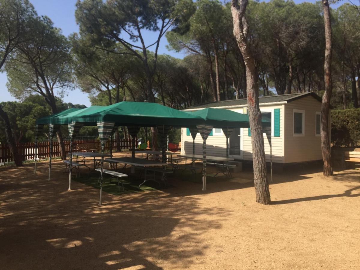 Camping Treumal Hotel Sant Antoni De Calonge Exterior foto